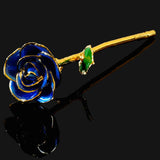 24K Gold Trimmed Eternal Bloom
