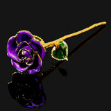 24K Gold Trimmed Eternal Bloom