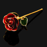 24K Gold Trimmed Eternal Bloom