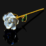 24K Gold Trimmed Eternal Bloom